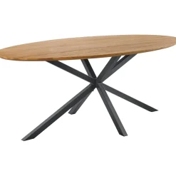 Eettafel Romaro Teakhout 200x100 cm ovaal mix rough