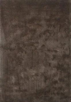 Karpet CAPRICE 170x240 beige