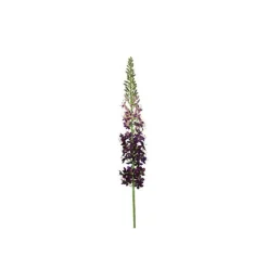Kunstbloem Abriolia Eremurus S paars