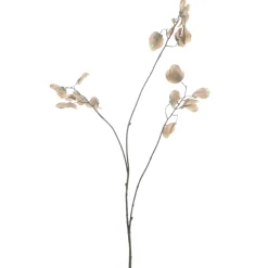 Kunstbloem Varenzo Judaspenning M bruin