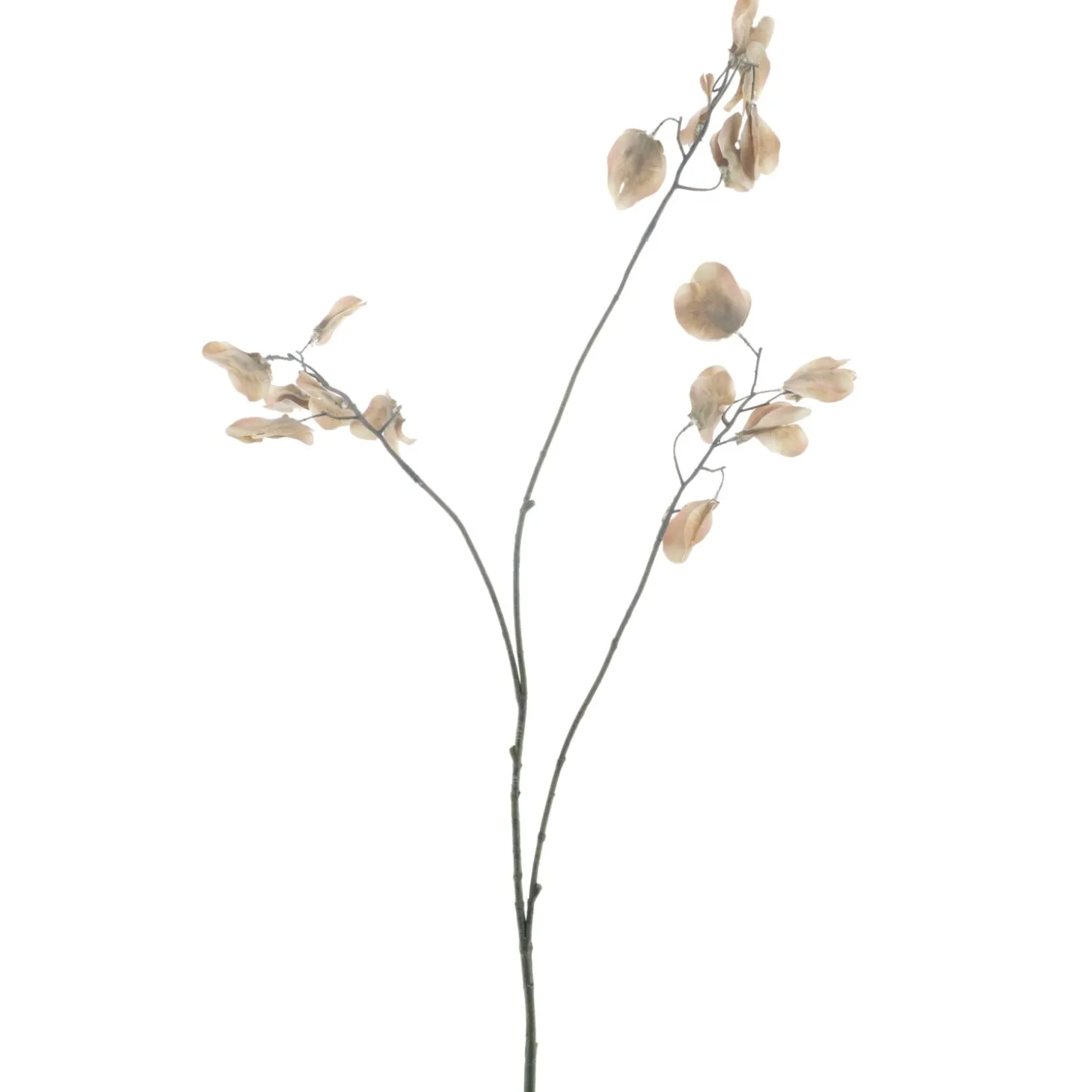 Kunstbloem Varenzo Judaspenning M bruin
