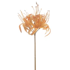 Kunstbloem Varenzo Nerine L bruin