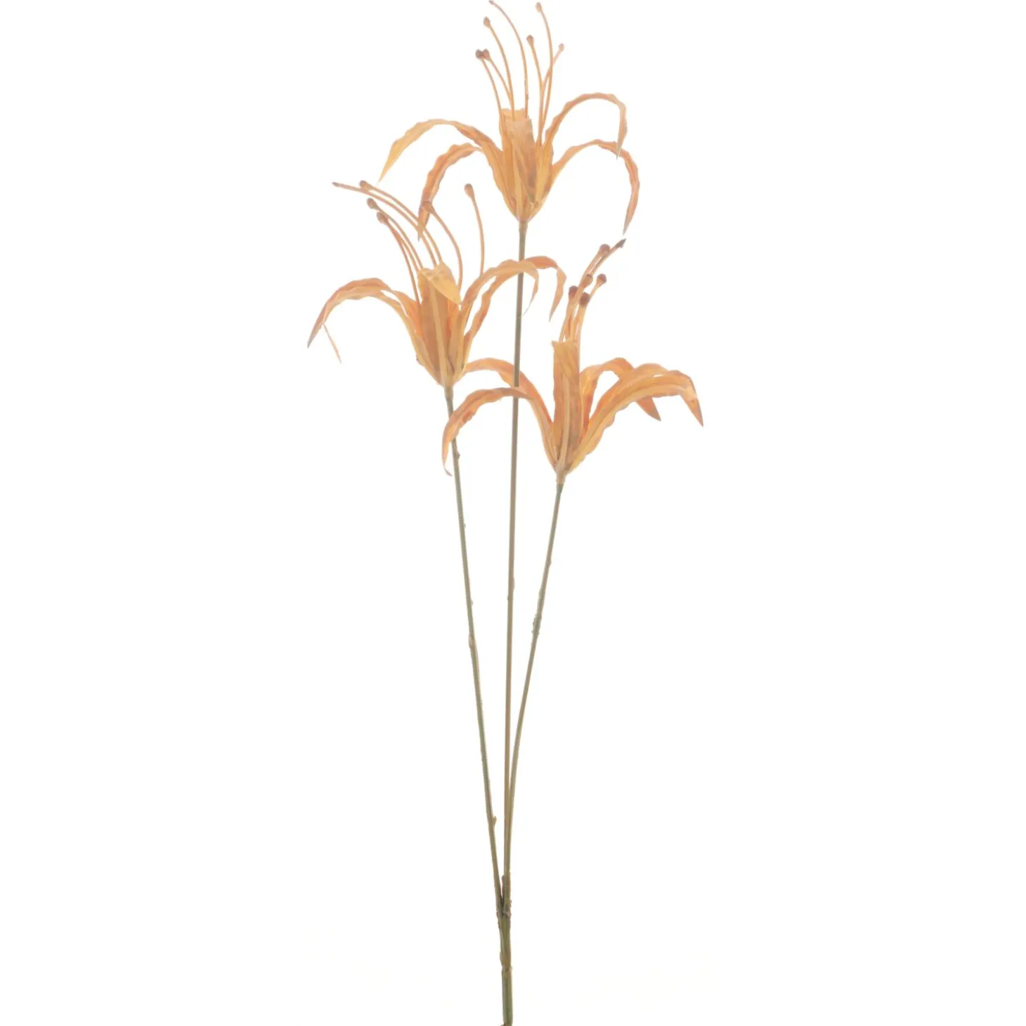 Kunstbloem Varenzo Nerine M bruin