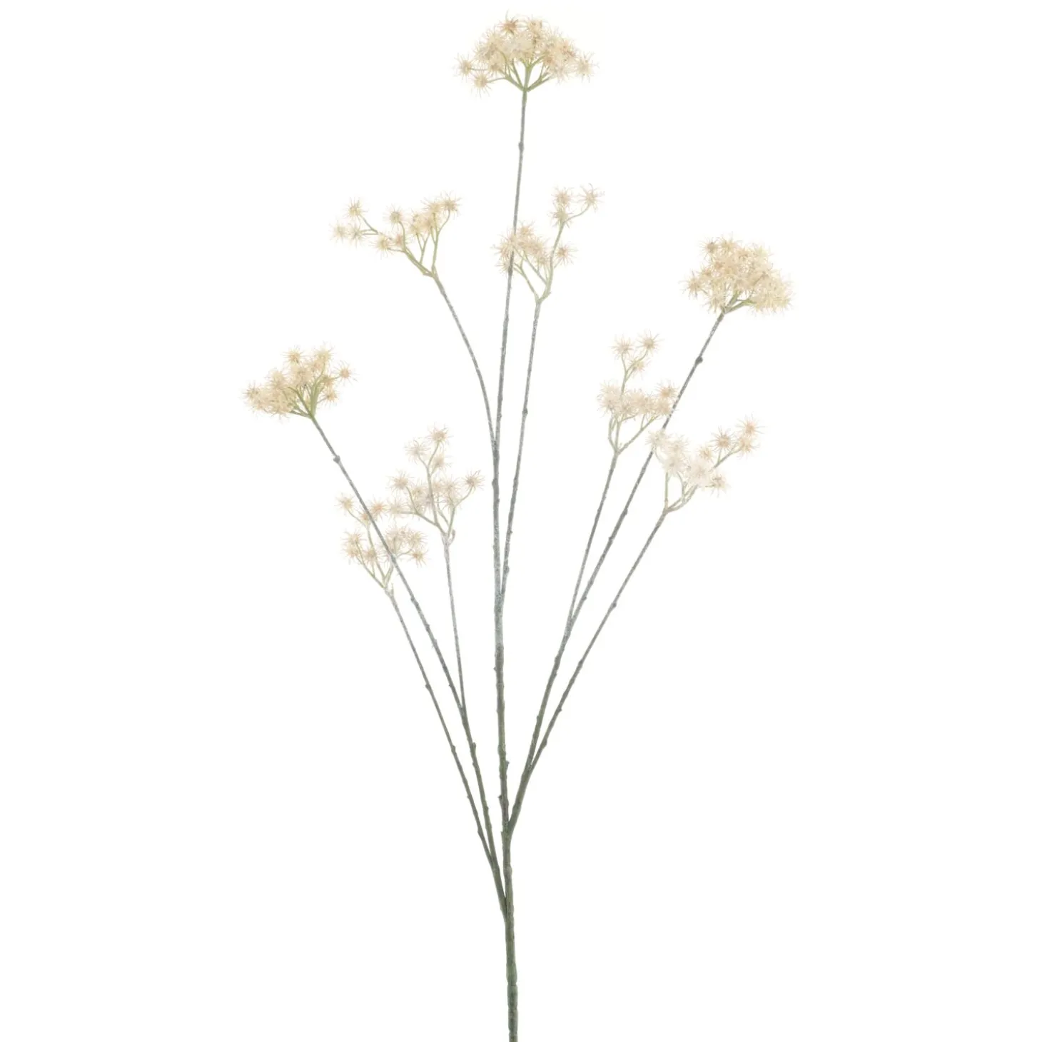 Kunstbloem Varenzo Wilde peen beige