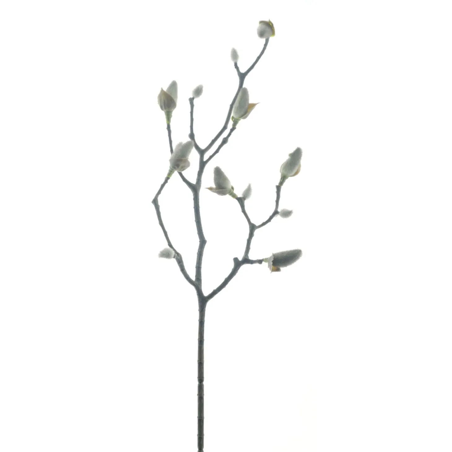 Kunsttak Varenzo Magnolia knop M zwart